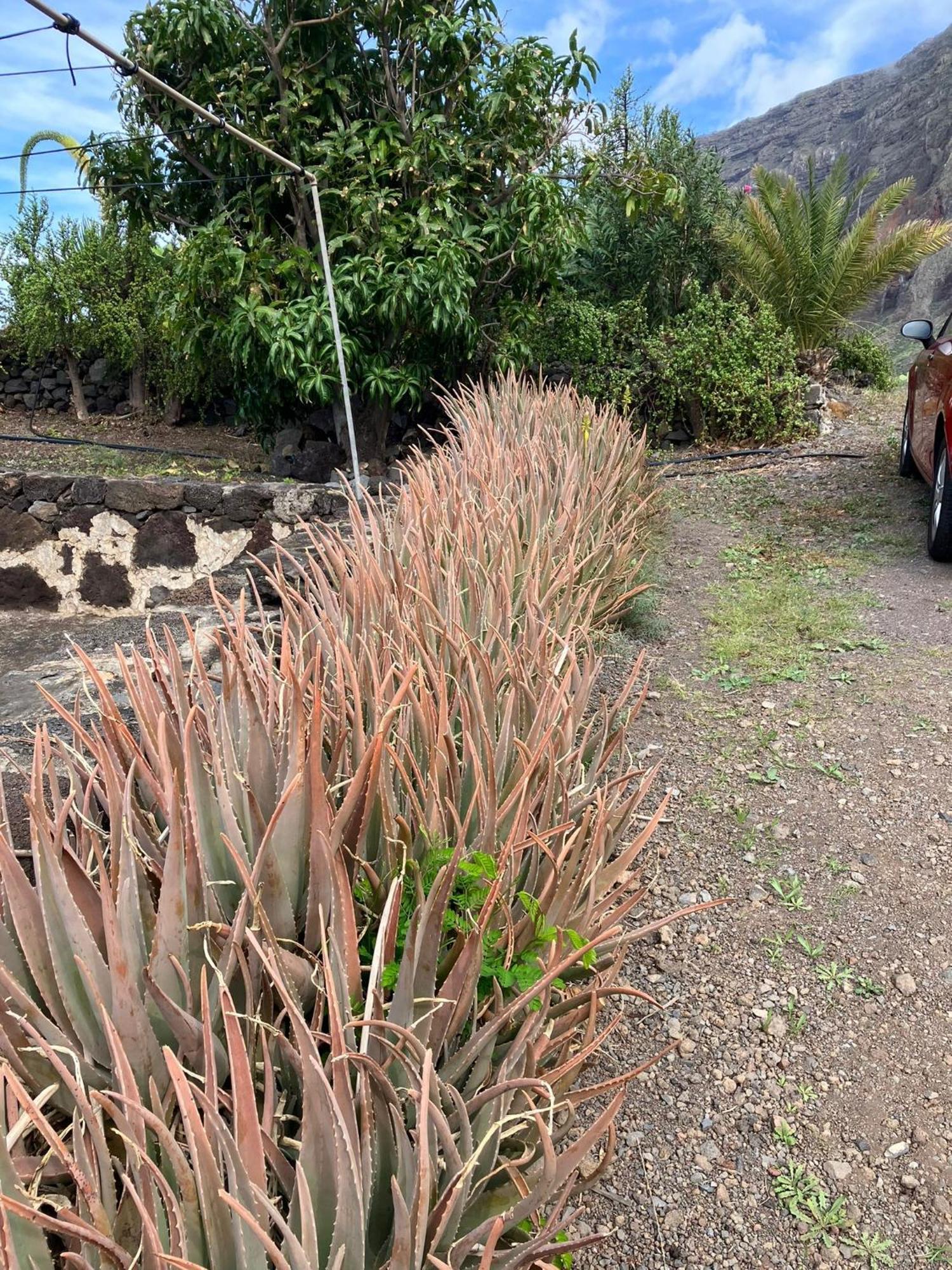 Casa Nela. Rural Y Acogedora En Las Puntas El Hierro ฟรอนเตรา ภายนอก รูปภาพ