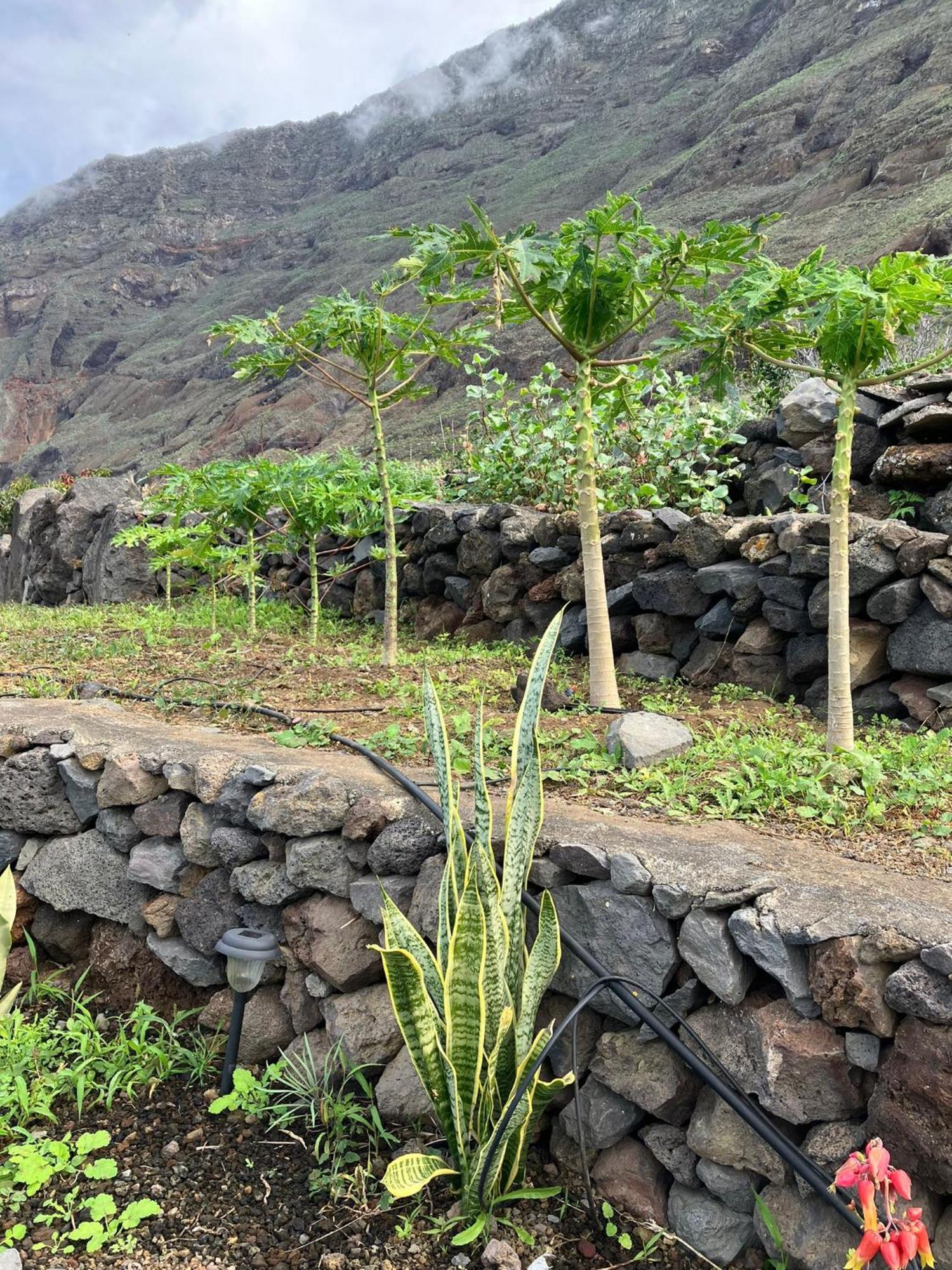 Casa Nela. Rural Y Acogedora En Las Puntas El Hierro ฟรอนเตรา ภายนอก รูปภาพ